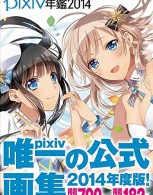 pixiv2014